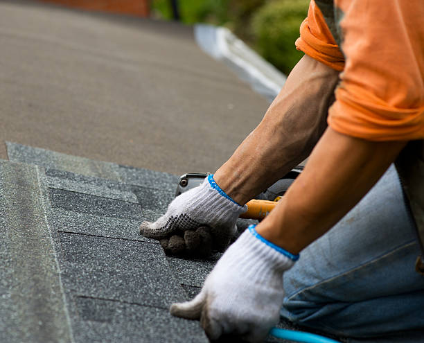 Best Local Roofing Companies  in Highland Park, MI