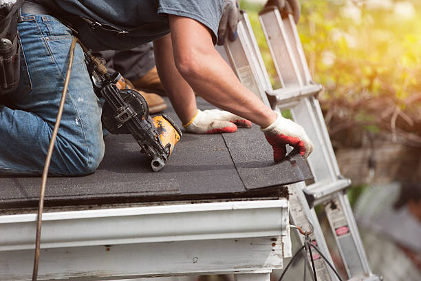Best Roof Repair Services  in Highland Park, MI